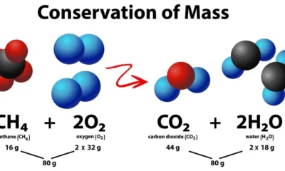 Understanding HCOOCH₃ + H₂O: The Chemistry of Methyl Formate and Water